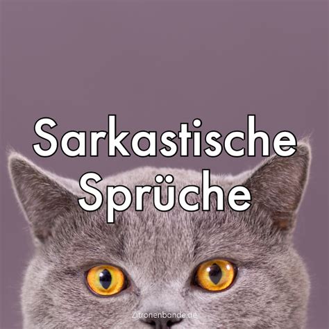 sarkasmus spruch